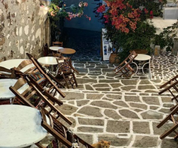 central care mon s-10